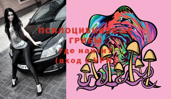 круглые Алзамай