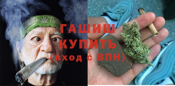 прущие грибы Пересвет