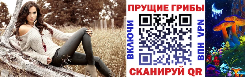 Галлюциногенные грибы Psilocybe  где найти   Николаевск 